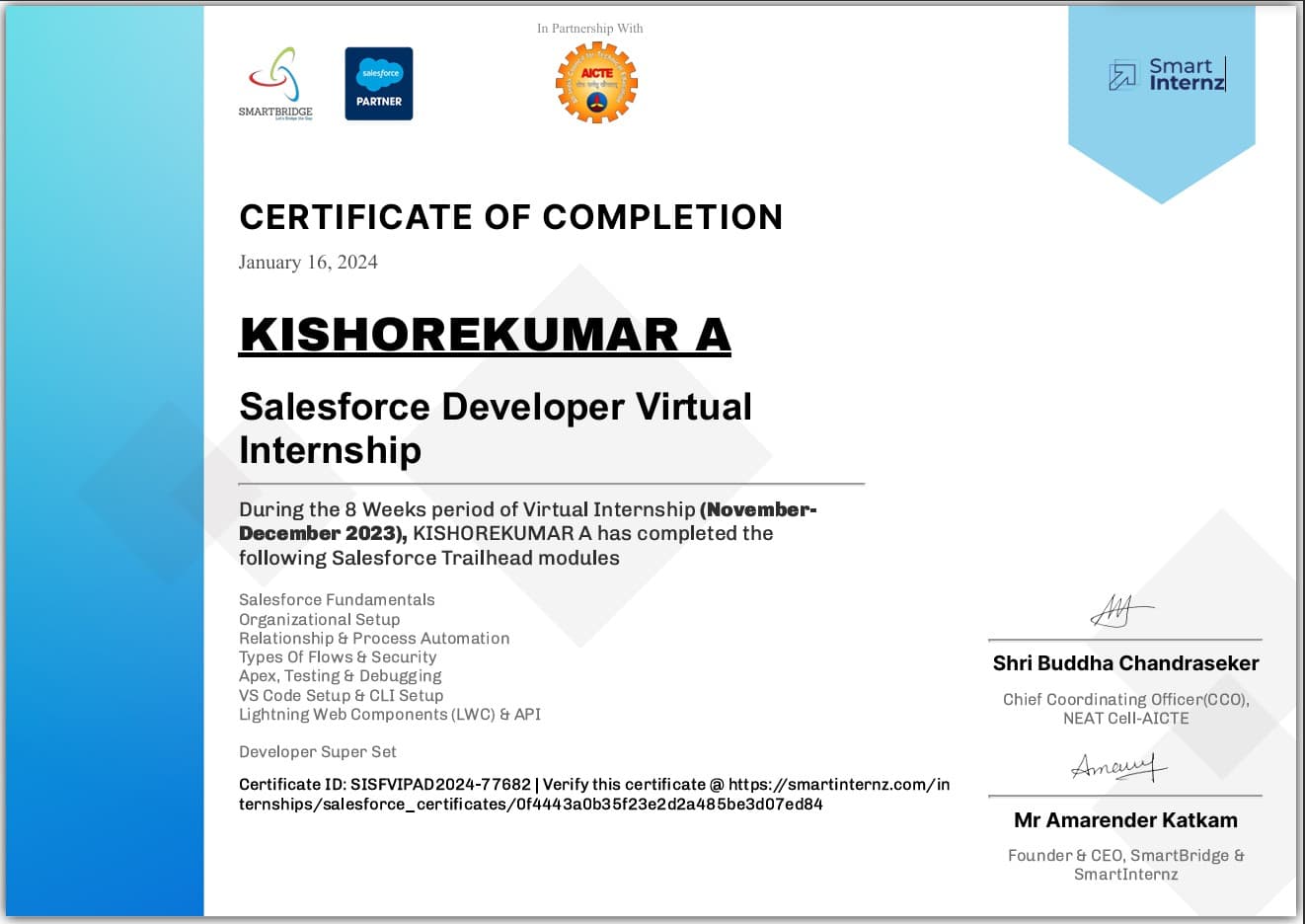 SALESFORCE DEVELOPER INTERN